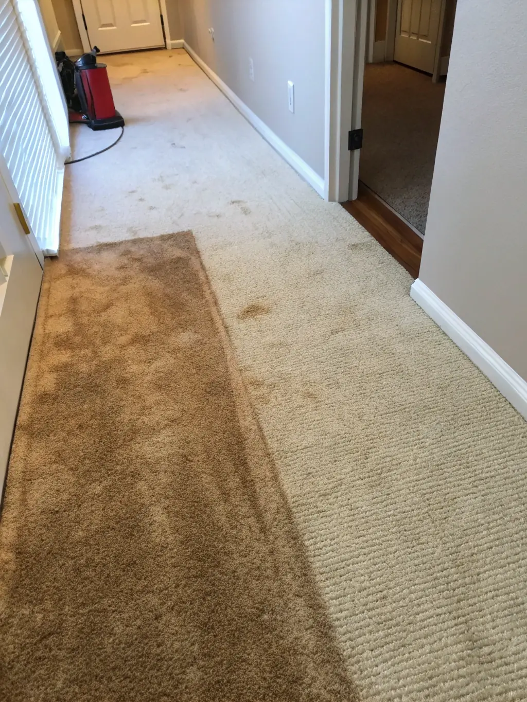 An image showing a close-up of a carpet being deep cleaned with a rotary agitation machine, illustrating the process of loosening embedded dirt and debris.